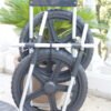 Riksha Chariot golf