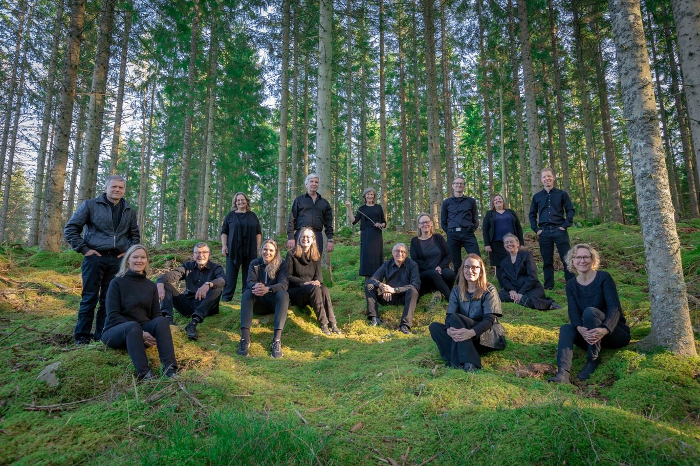 Tourdionidesvenskeskove